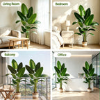 Bird of Paradise Artificial Plant with Faux Banana Leaves - 6 Ft Tall