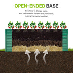 Ergonomic Metal Raised Garden Bed 2-Pack with Open Base - Green