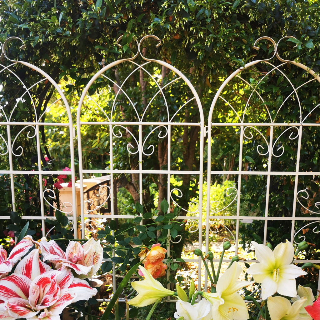Metal Garden Rustproof Trellis for Climbing Plants – Outdoor Flower Support