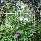 Metal Garden Rustproof Trellis for Climbing Plants – Outdoor Flower Support