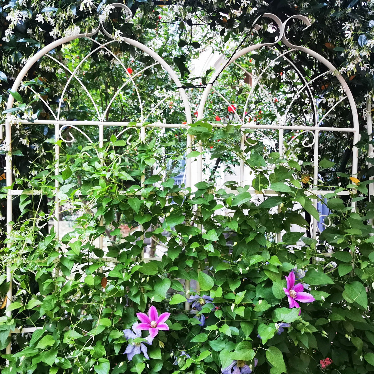 Metal Garden Rustproof Trellis for Climbing Plants – Outdoor Flower Support