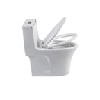Elegant One Piece Toilet With Tornado Dual Flush