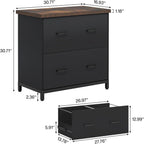 2 Drawer Lateral File Cabinet with Heavy Duty Steel Frame - Brown/Black
