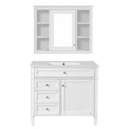 Bathroom Vanity With Mirror Cabinet and Single Sink - Soft-Closing Doors