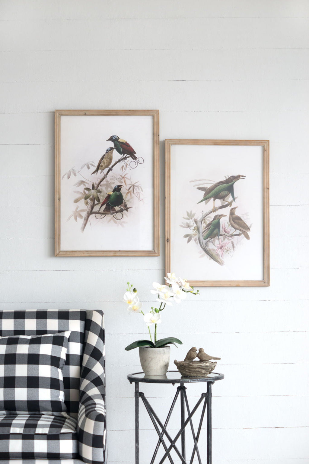Bird Framed Print Set with Light Wood Frame - Multicolor