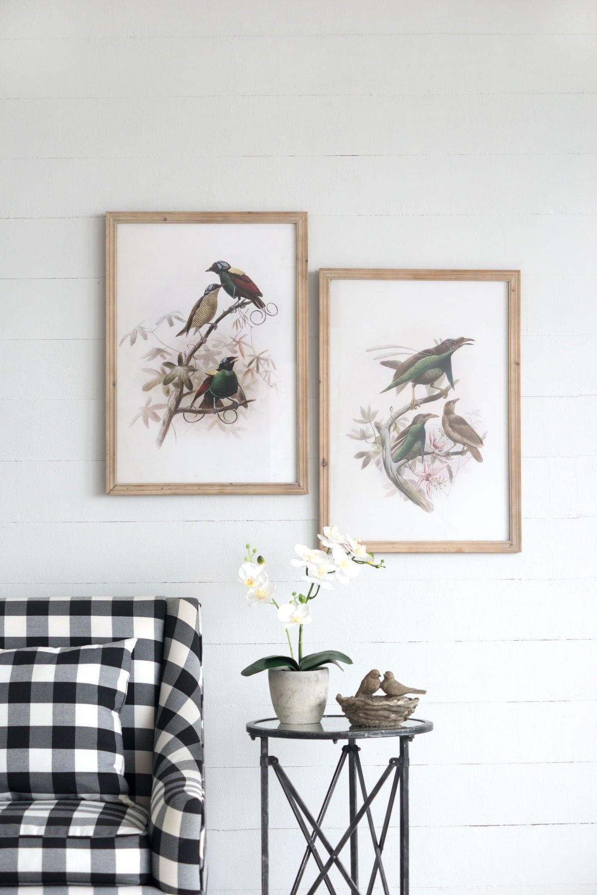 Bird Framed Print Set with Light Wood Frame - Multicolor