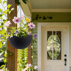 Self Watering Hanging Planter with Water Level Indicator - White, Black, or Dark Brown