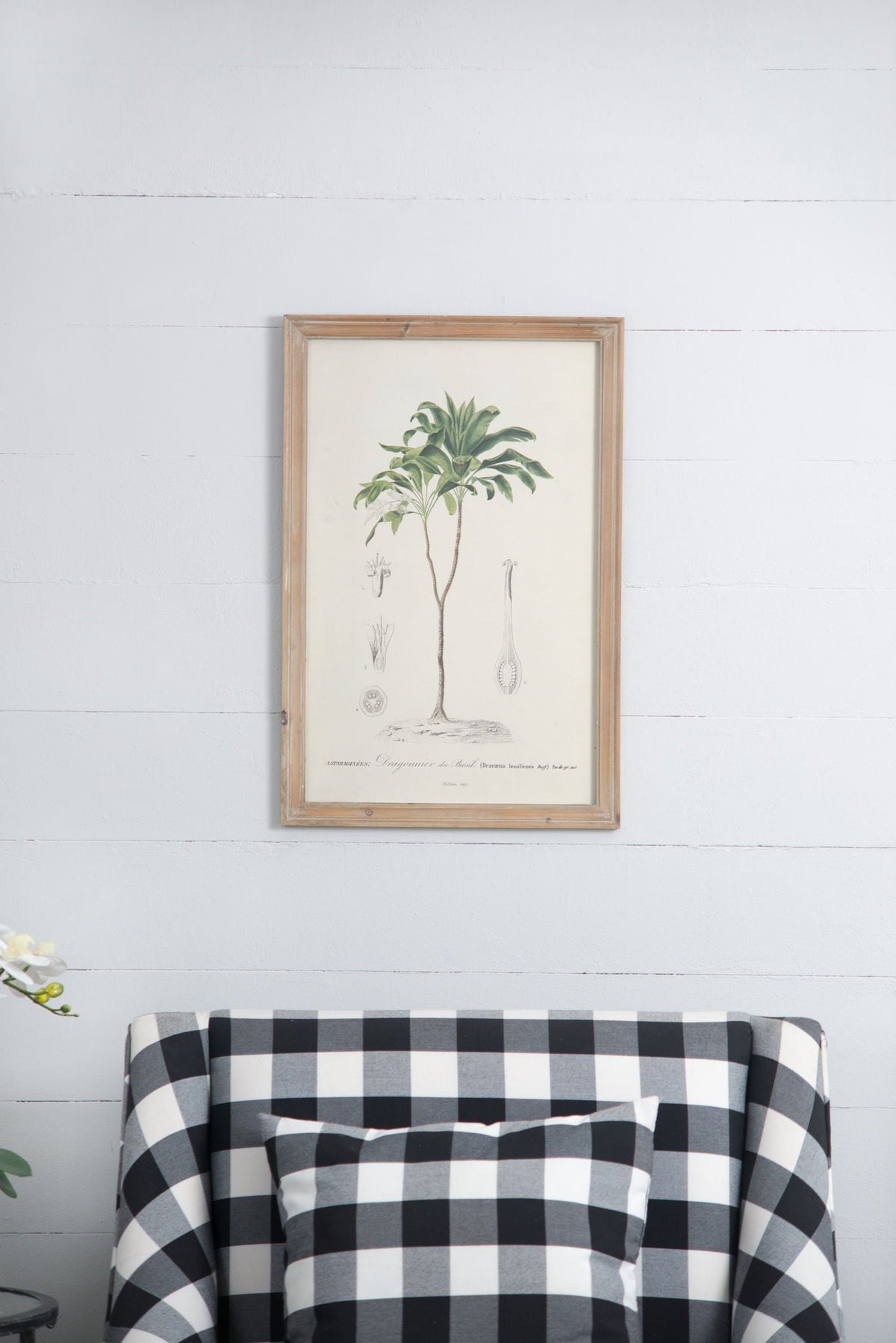 Tree Framed Print Set with Fir Wood Frames - Multicolor
