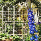 Metal Garden Rustproof Trellis for Climbing Plants – Outdoor Flower Support