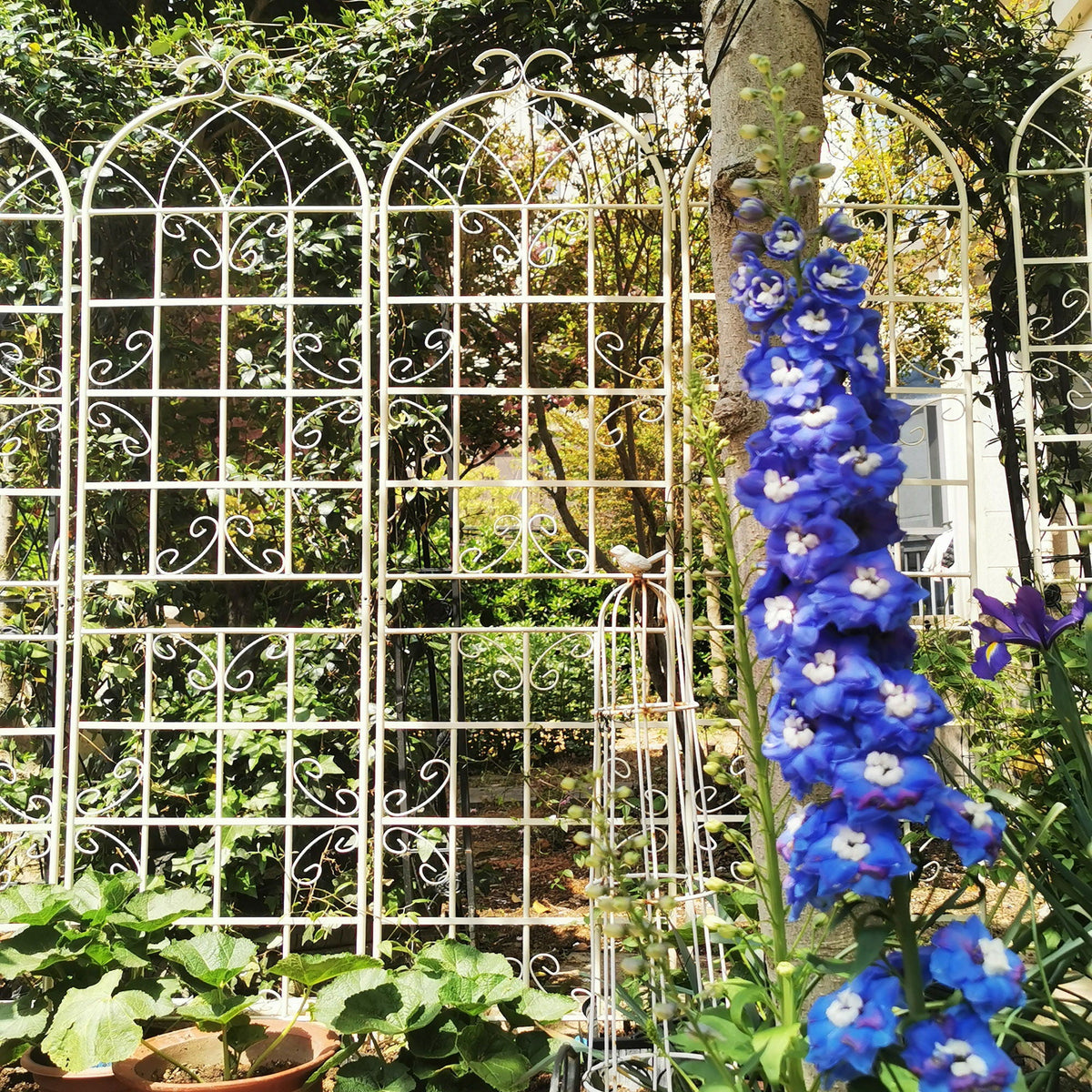 Metal Garden Rustproof Trellis for Climbing Plants – Outdoor Flower Support