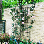 Metal Garden Rustproof Trellis for Climbing Plants – Outdoor Flower Support
