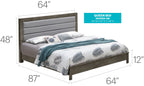 Transitional Modern Panel Bed with Wood Construction - Multiple Colors
