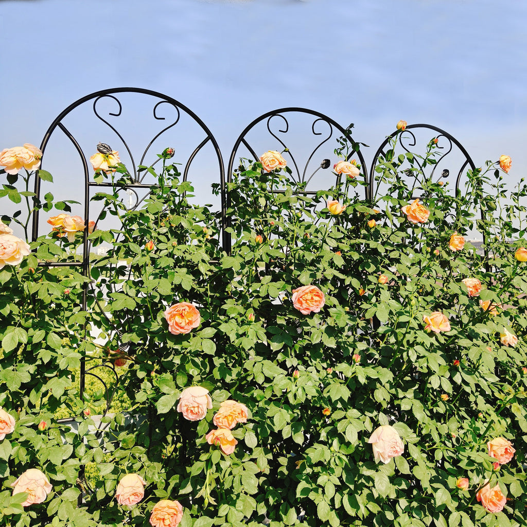 4 Pack Metal Garden Trellis with Decorative Peacock Design - Rustproof Iron