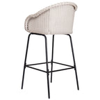Ladd Outdoor Metal Wicker Barstool Set of 2