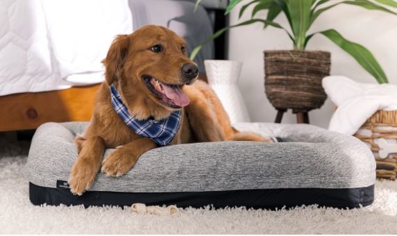 Performance Pet Bed XL with Waterproof Cover - Grey